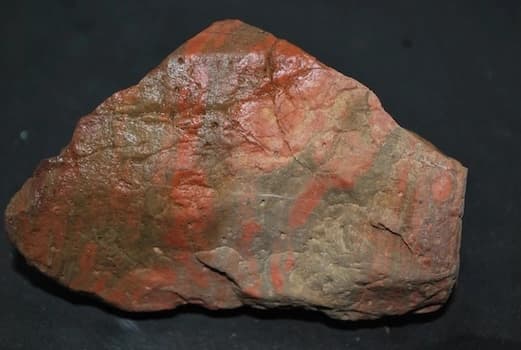 Visitez Bois Fossile